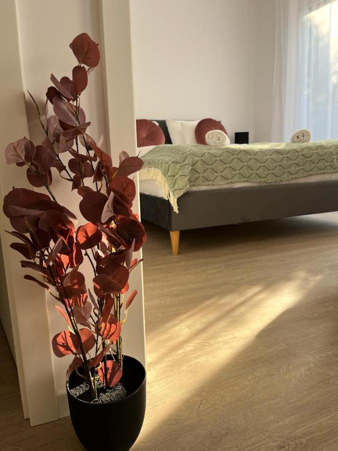 Mathias Premium Apartments 塞格德 外观 照片